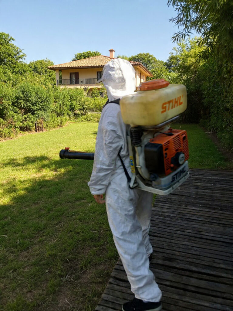 una foto profesional y de alta resoluci n